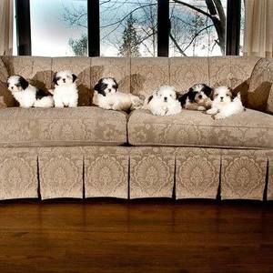 Meet your Posher, Theresa